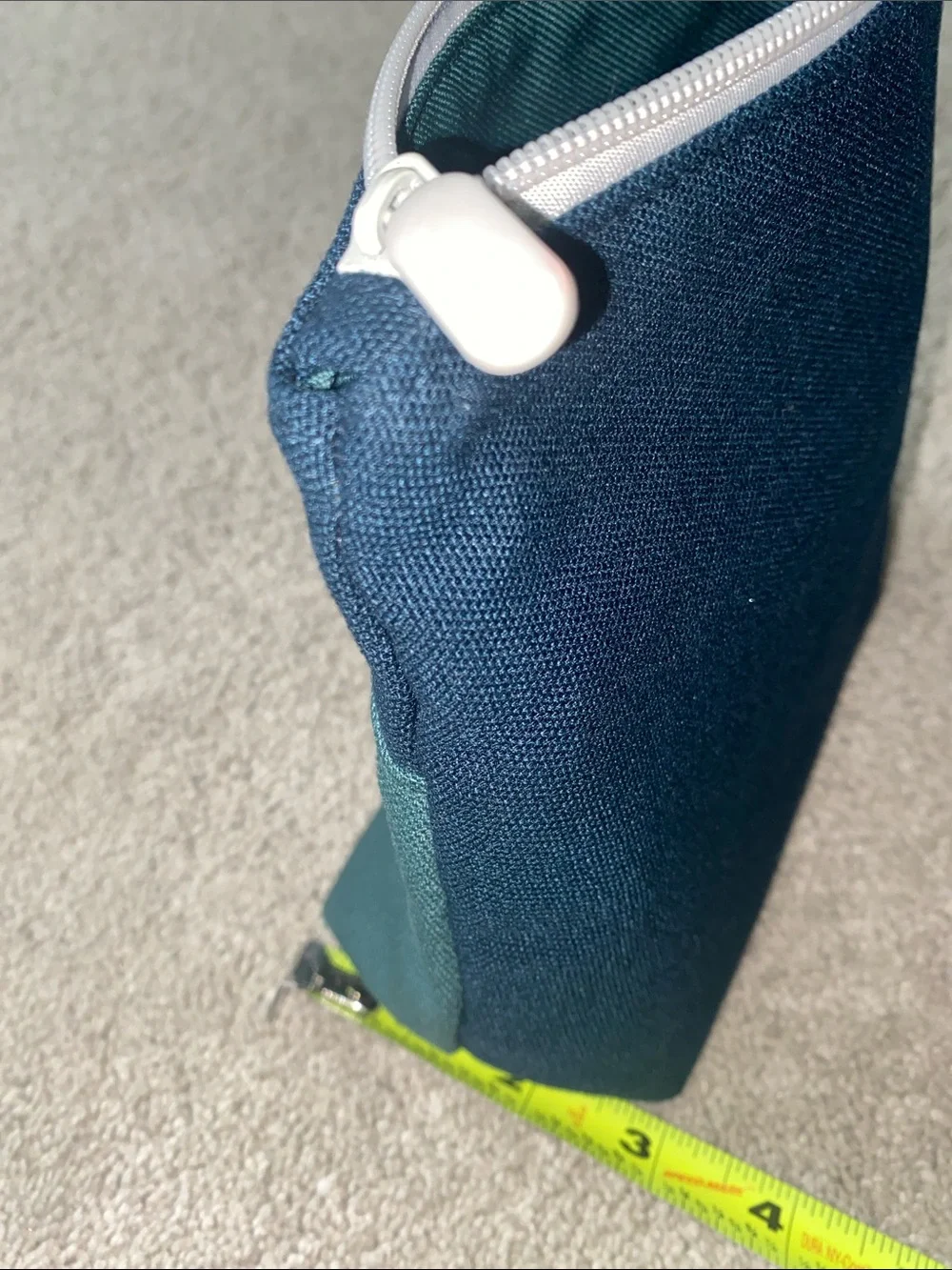 Lululemon x Saje Wellness canvas zipper pouch in green and blue‎